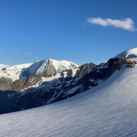 Hotel Grand-Combin Fionnay Eksteriør billede